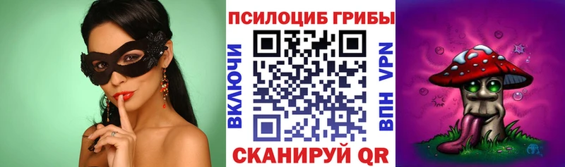 MEGA вход  Находка  Псилоцибиновые грибы прущие грибы 